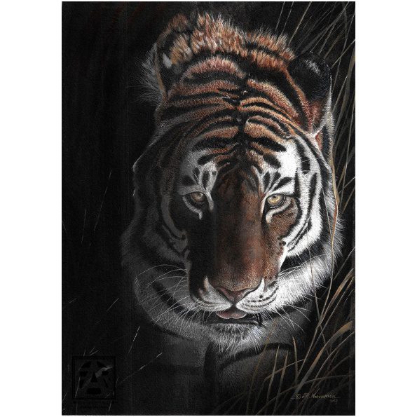 07-Tiger