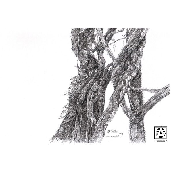 08-Tree